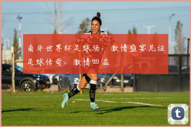 南非世界杯足球场，激情盛宴见证足球传奇，激情四溢