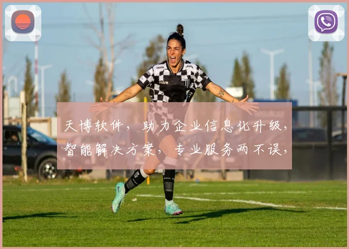 天博软件，助力企业信息化升级，智能解决方案，专业服务两不误，提升办公效率新选择