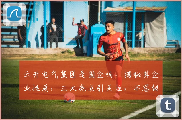 云开电气集团是国企吗，揭秘其企业性质，三大亮点引关注，不容错过