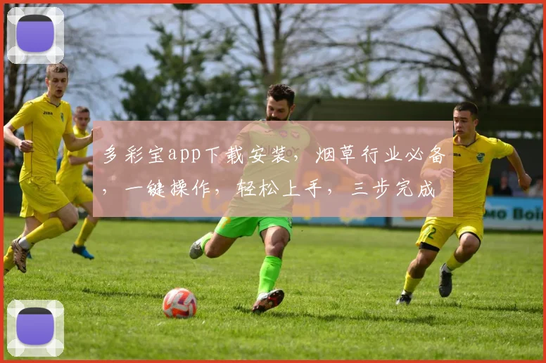多彩宝app下载安装，烟草行业必备，一键操作，轻松上手，三步完成，体验非凡